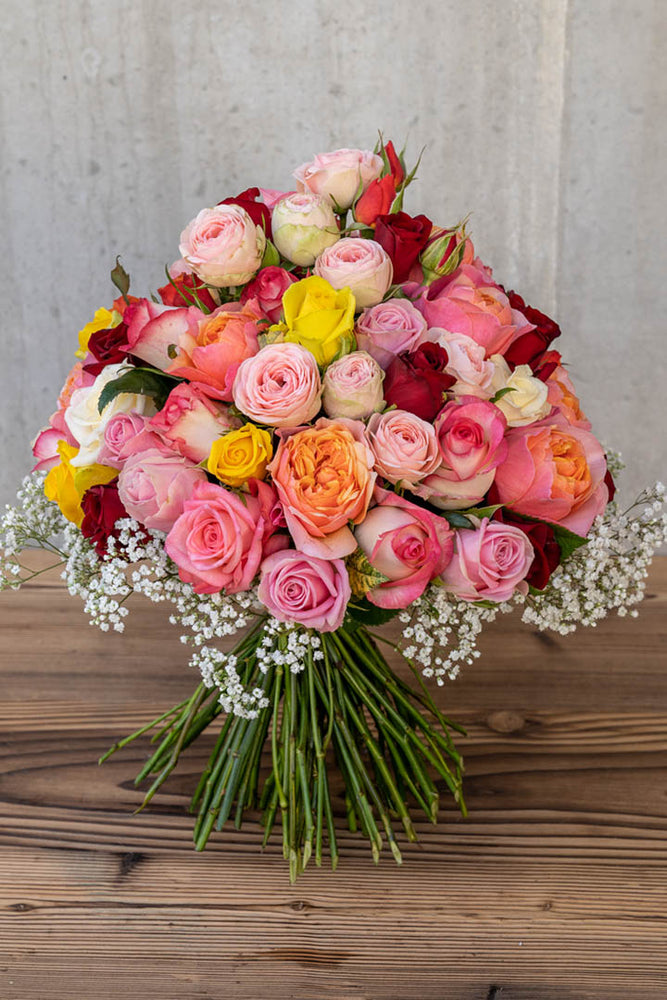 
                  
                    Laden Sie das Bild in den Galerie-Viewer, 1003 Dreamy Rose
                  
                